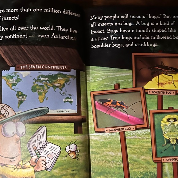 Fly Guy Presents: Insects (Scholastic Reader, Level 2) by Tedd Arnold 2015 - Picture 3 of 6
